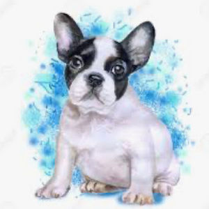 Meet your Posher, Willow